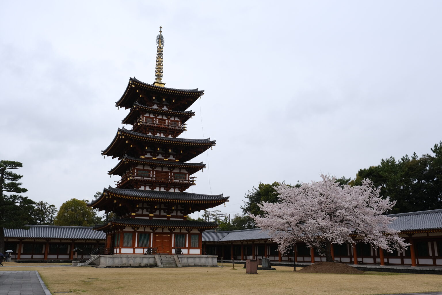 京都・吉野のあでやかな桜とモダンでフレッシュな奈良酒を楽しんだ酒旅1日目