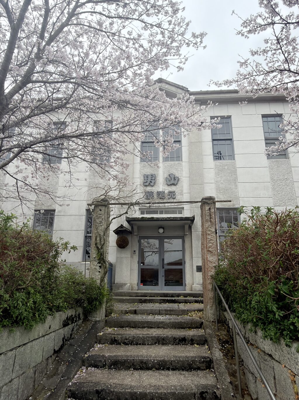 春満開の桜の中、奥深い味わいを求め宇部美祢の酒蔵を巡る